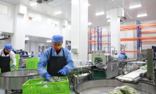 蔬菜配重機(jī)：解決人工成本與效率問(wèn)題，助力蔬菜加工發(fā)展